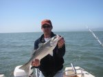 SF Bay Striper