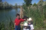 Our Favourite Pond