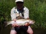 Yampa River CO