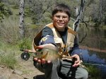 First Fish