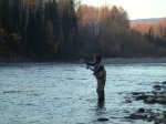 spey cast